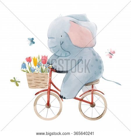 Beautiful Vector Stock Illustration With Cute Watercolor Baby Elephant On Bike. Animal With Bicycle 