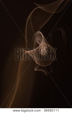 Rook
