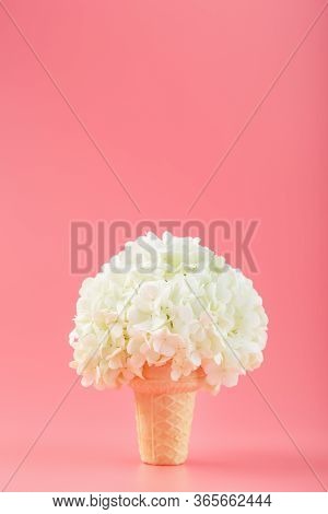 A Bouquet Of White Flowers In An Ice Cream Cone On A Pink Background.