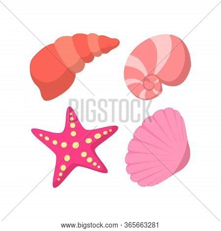 Set Of Sea Shell For Summer Design Elements. Trendy Flat Style For Graphic Design, Web-site. Stock V