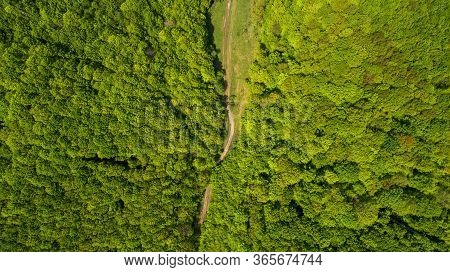 Forest And Road Aerial View. Photo Shot By A Drone.