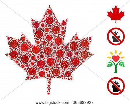 Collage Maple Leaf United From Coronavirus Icons In Random Sizes And Color Hues. Vector Infection Ic