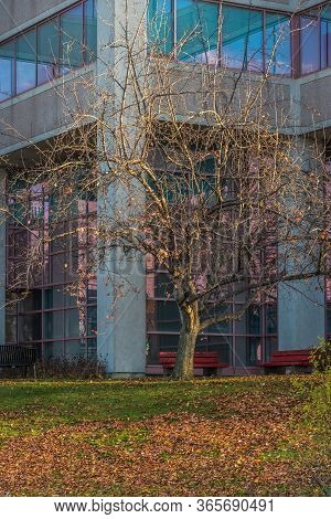 Business Building In Fall Time. Markham, Canada