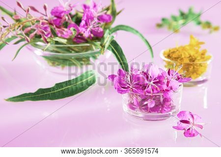 Beautiful Composition Of Fresh Willow-herb And St. Johns Wort Flowers