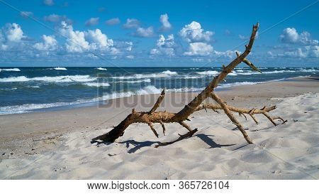Flotsam On The Beach Of The Polish Baltic Sea Coast Near Rewal