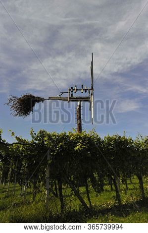 Klopotec Bird Scarer In Austrian Vineyard On A Cloudy Summer Day