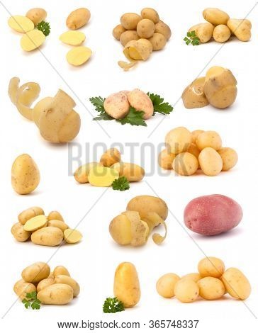 potato isolated on white background. Set of different composition of potatoes.