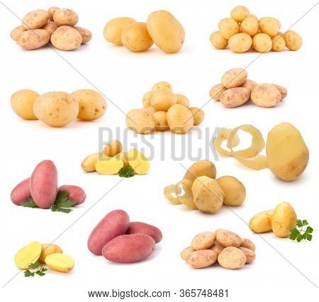 potato isolated on white background. Set of different composition of potatoes.