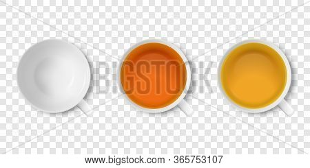 Vector 3d Realistic White Porclean, Ceramic Empty Tea Cup, Mug And With Black Or Red, Green Tea Clos