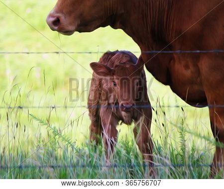 Oil Painting Edits On A Momma And Newborn Baby Cow