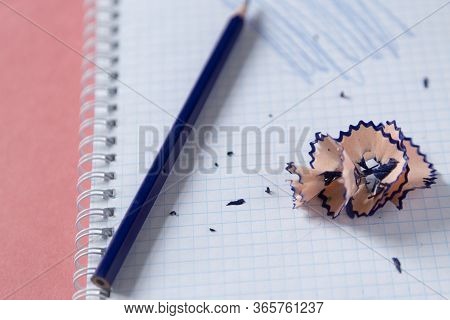 School Supplies. Bright Back To School Background. Notepad And Colorful Pencils. Distance Education,