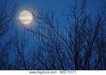 Supermoon pink full moon 8 April 2020 in France.