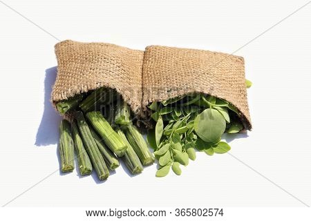 Drumstick Pods And Moringa Oleifera Leaves In Jute Sacks Isolated In White Background