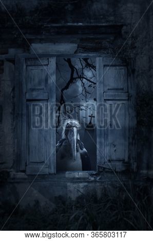 Lesser Adjutant Stork Bird Standing In Old Damaged Wood Window With Wall Over Cross, Church, Birds, 