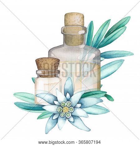 Watercolor Essential Oil Bottles Decorated With Edelweiss Leaves And Flowers