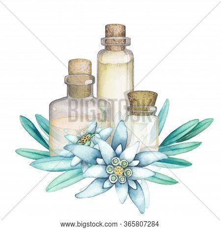 Watercolor Essential Oil Bottles Decorated With Edelweiss Leaves And Flowers