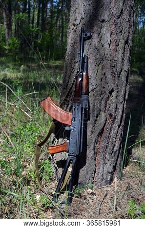 AKMS (Avtomat Kalashnikova) version of Kalashnikov assault rifle in the forest. May 11, 2020 Near Kiev ,Ukraine
