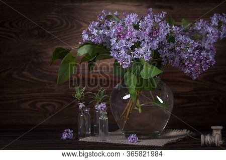Still Life With Lilacs. Fragrant Lilac. Blooming Lilac