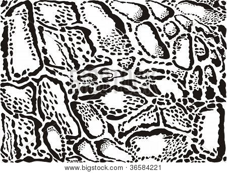 Clouded Leopard Pattern Background.eps