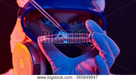 COVID-19 or 2019-nCoV. Close-up portrait of a scientist microbiologist in a protective PPE suit showing the blood test in a Petri dish.