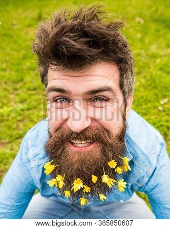 Hipster On Happy Face Sits On Grass, Defocused. Man With Beard Enjoys Spring, Green Meadow Backgroun