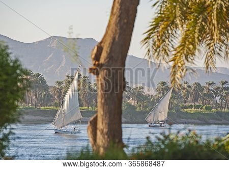 Traditional Egyptian Felluca River Boat Sailing On The Nile With Trees In Foreground