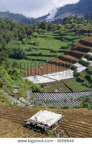 Ferme de Dieng