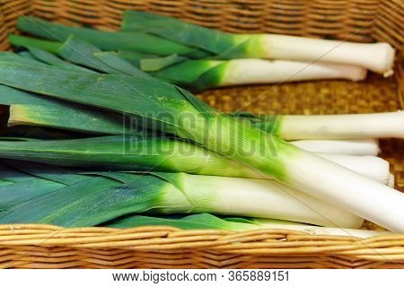 Leek Stalks, Green Vegetables, Local Produce Market.