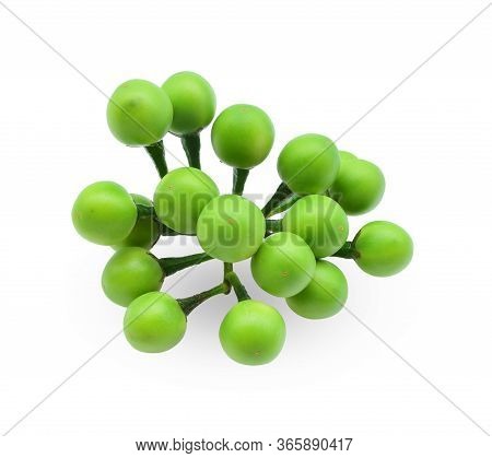 Solanum Torvum, Fresh Green Eggplant (turkey Berryon) Isolated On White Background.