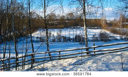 beautiful winter rural landscape