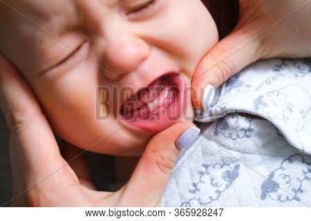First Milktooth And Crying Baby Close Up. Newborn Tantrum Child On Mother Hands. Family Life, Mother