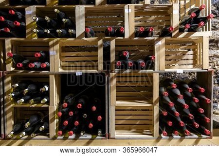 wine cellar in Thallern winer, Gumpoldskirchen near Vienna, Lower Austria, Austria