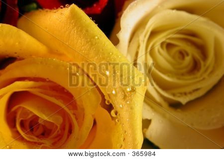 O vermelho e o amarelo