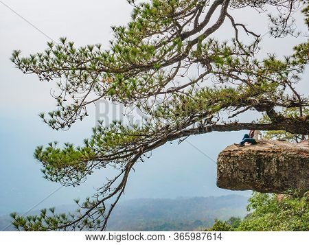 Beautiful Scenery View Of Lomsak Cliff On Phu Kradueng Mountain National Park In Loei City Thailand.