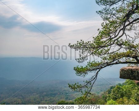 Beautiful Scenery View Of Lomsak Cliff On Phu Kradueng Mountain National Park In Loei City Thailand.