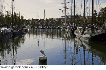 View From A Bridge On A Famous Harbour Called 'zuiderhaven' In The Historical Town Harlingen, The Ne