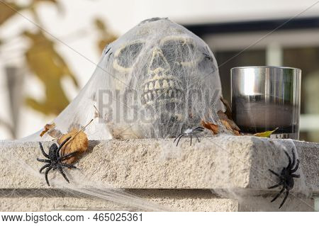 A Fake Human Skull Is Covered With A White Transparent Cloth, Like A Spider Web, Spiders Crawl. Conc