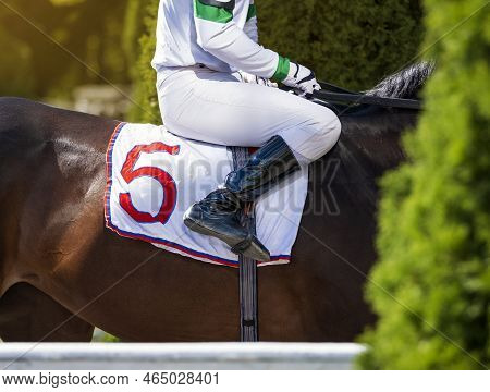 Hands And Uniform Of A Jockey. Race Horse In Racing Competition. Jockey Sitting On Racing Horse. Spo