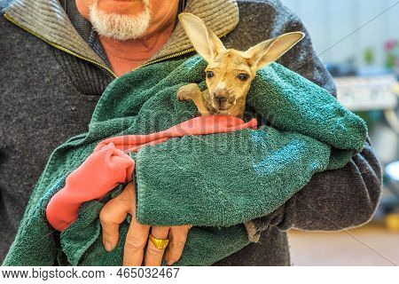 Coober Pedy, South Australia -aug 27, 2019: A Guided Tour Takes Visitors And Families To Meet An Orp