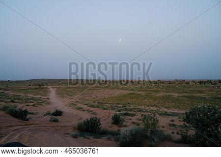 Moon Set. View Of Thar Desert Sand Dunes , Pre Dawn Light Before Sun Rise And Moon Setting Off In Th
