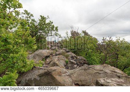 Panorama View Of Hiking Path On Rock Formation Teufelsmauer In Harz Mountains, Germany