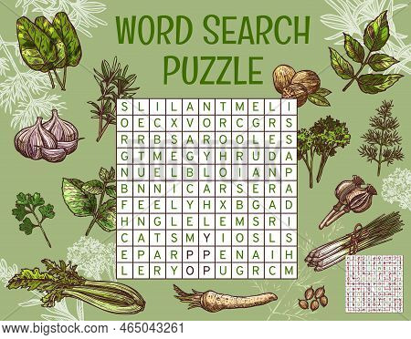 Herbs, And Seasonings. Word Search Puzzle Game Worksheet. Quiz Grid, Text Puzzle Or Sketch Vector Wo