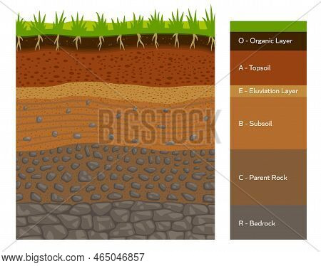 Soil Layer Infographic, Earth Geology Formation Bedrock, Parent Rock, Subsoil, Eluviation Layer, Top