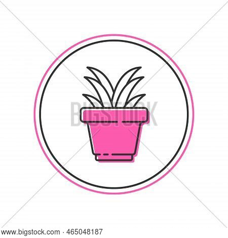 Filled Outline Plant In Pot Icon Isolated On White Background. Plant Growing In A Pot. Potted Plant 
