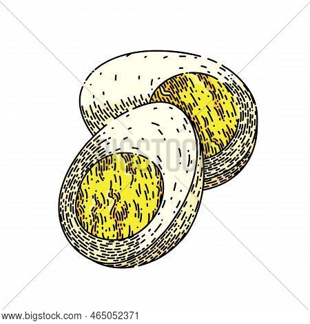 Boiled Egg Hand Drawn Vector. Hard Breakfast, Chicken Yolk, Protein Cooking Slice Boiled Egg Sketch.