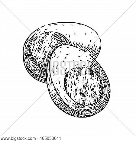 Boiled Egg Hand Drawn Vector. Hard Breakfast, Chicken Yolk, Protein Cooking Slice Boiled Egg Sketch.