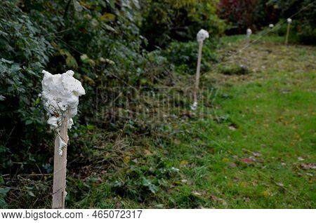 Wildlife Repellants, Scent Fences, Scented Foam Repellants, Wildlife Scent Repellants, S, Chemical F