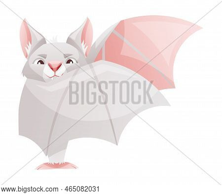 Funny Grey Bat With Cute Snout And Pointed Ears Standing With Spread Wing Vector Illustration