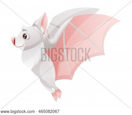 Funny Grey Bat With Cute Snout And Pointed Ears Flying With Spread Wing Vector Illustration