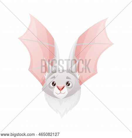 Funny Grey Bat With Cute Snout And Pointed Ears Flying With Spread Wing Vector Illustration